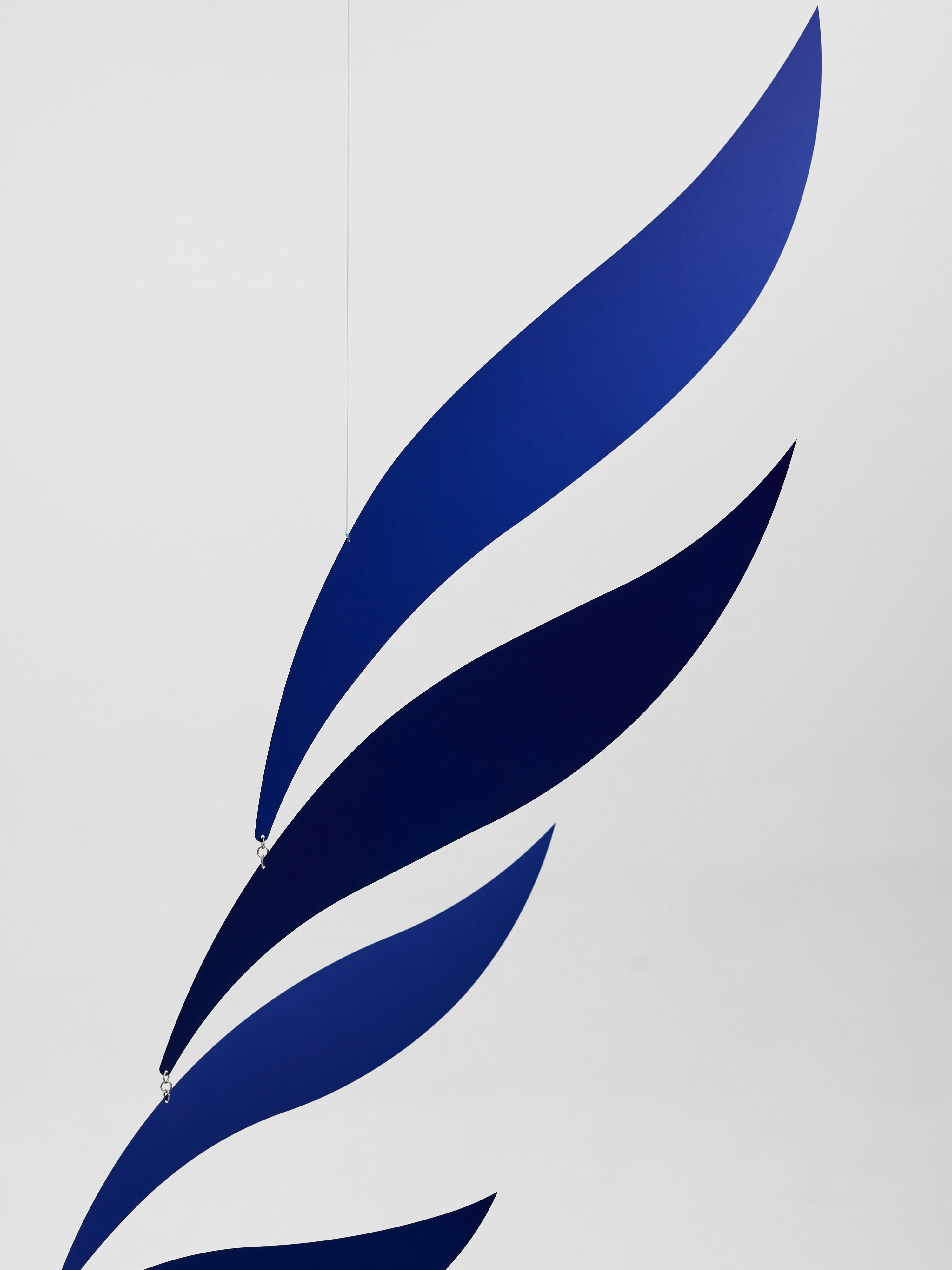 Blue Rhythm | Size L.