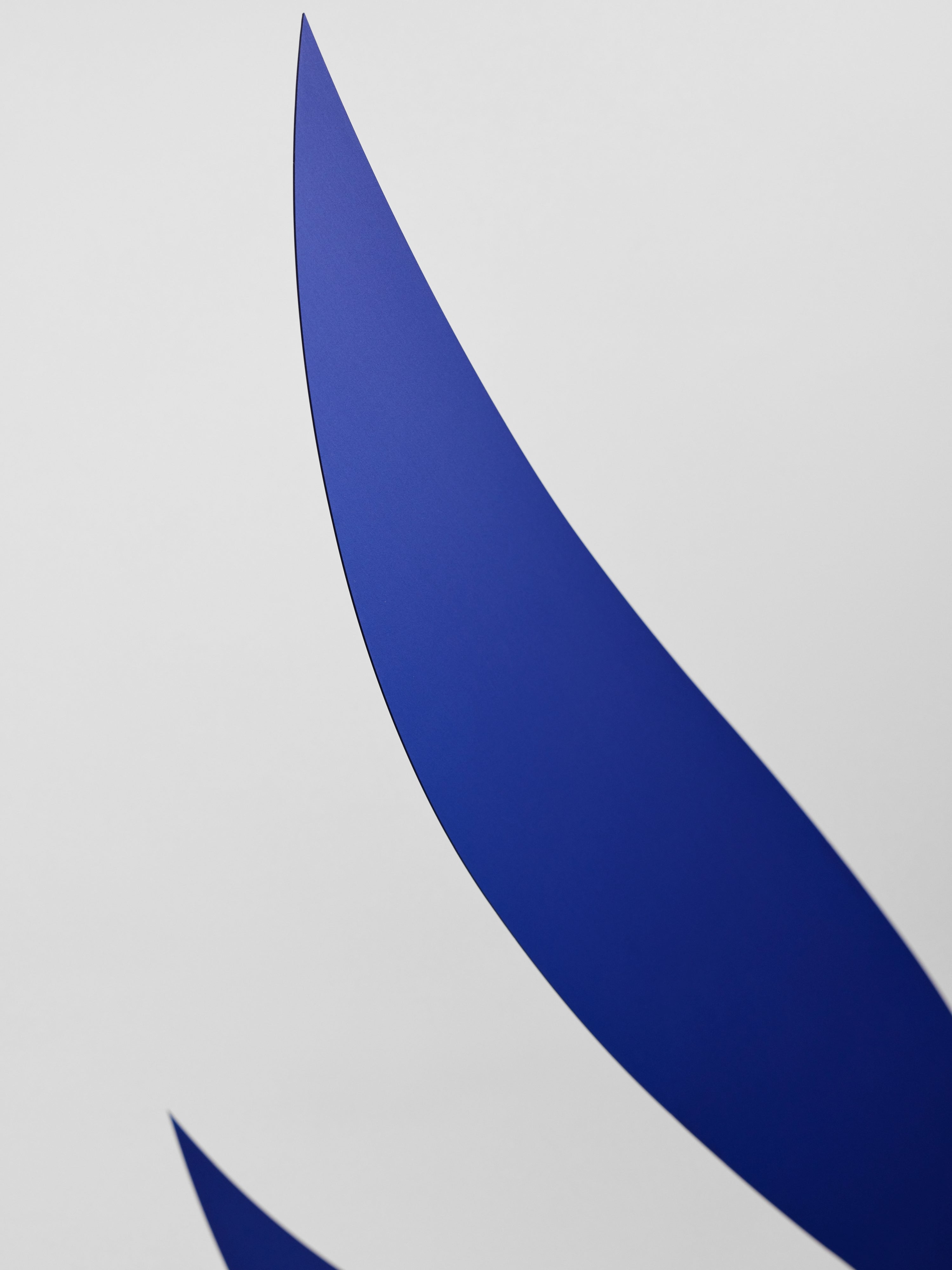 Blue Rhythm | Size L.