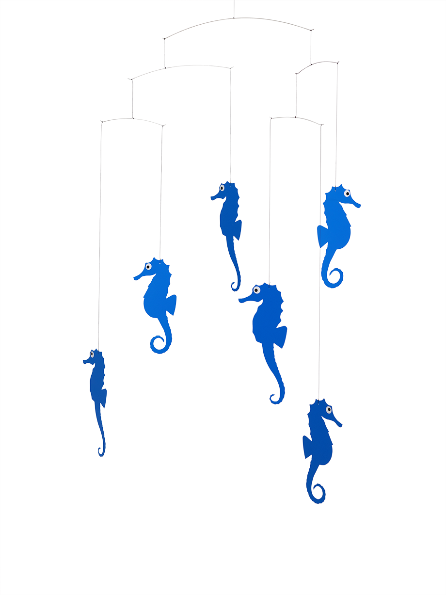 Sea Horse | Blue.