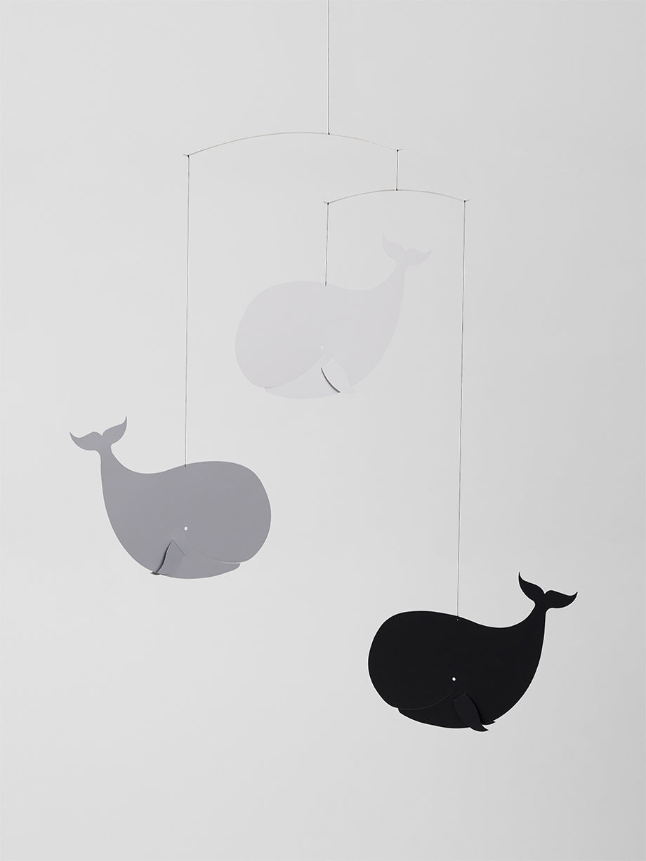 Happy Whales | Greyscale.