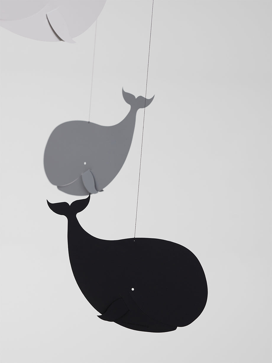 Happy Whales | Greyscale.