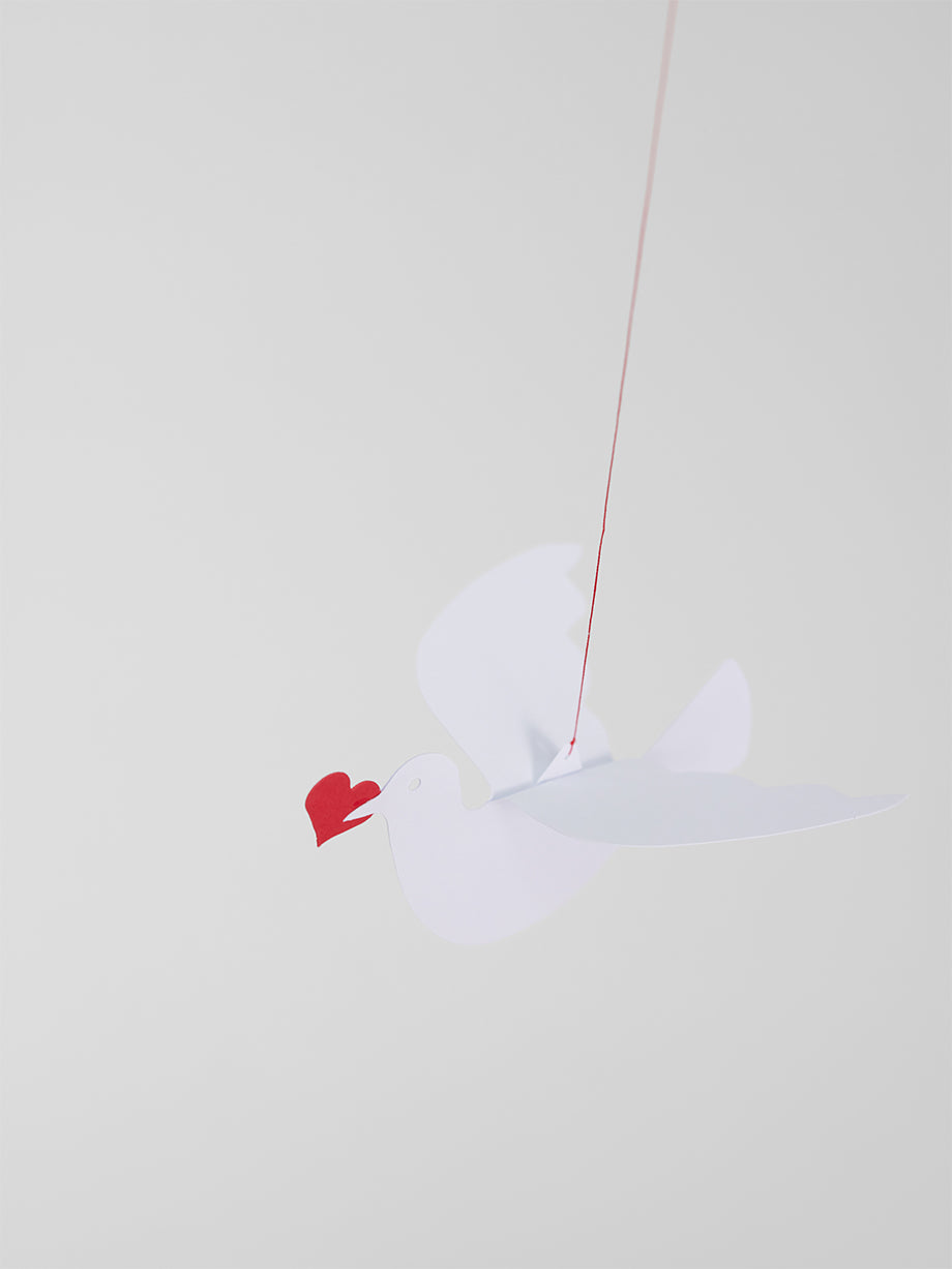 Love Dove | Single.