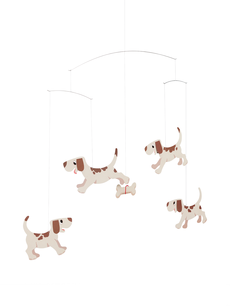 Doggy Dreams.