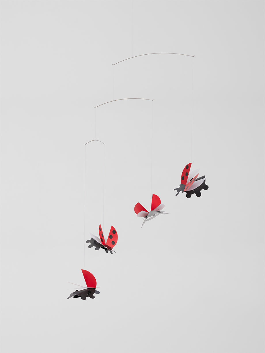 Lady Bird.
