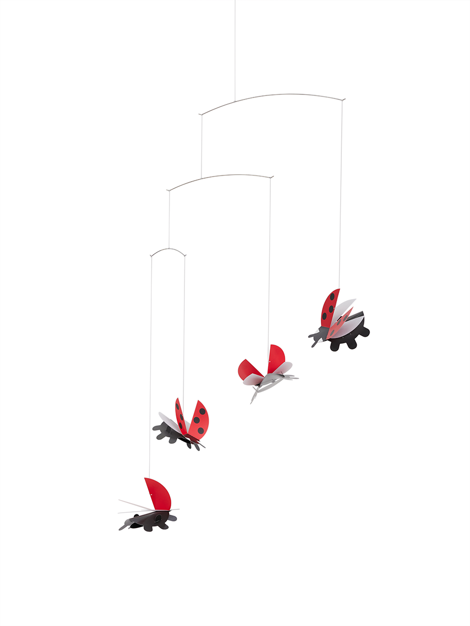 Lady Bird.