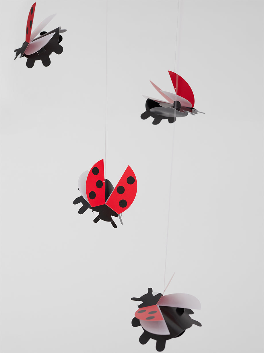 Lady Bird.
