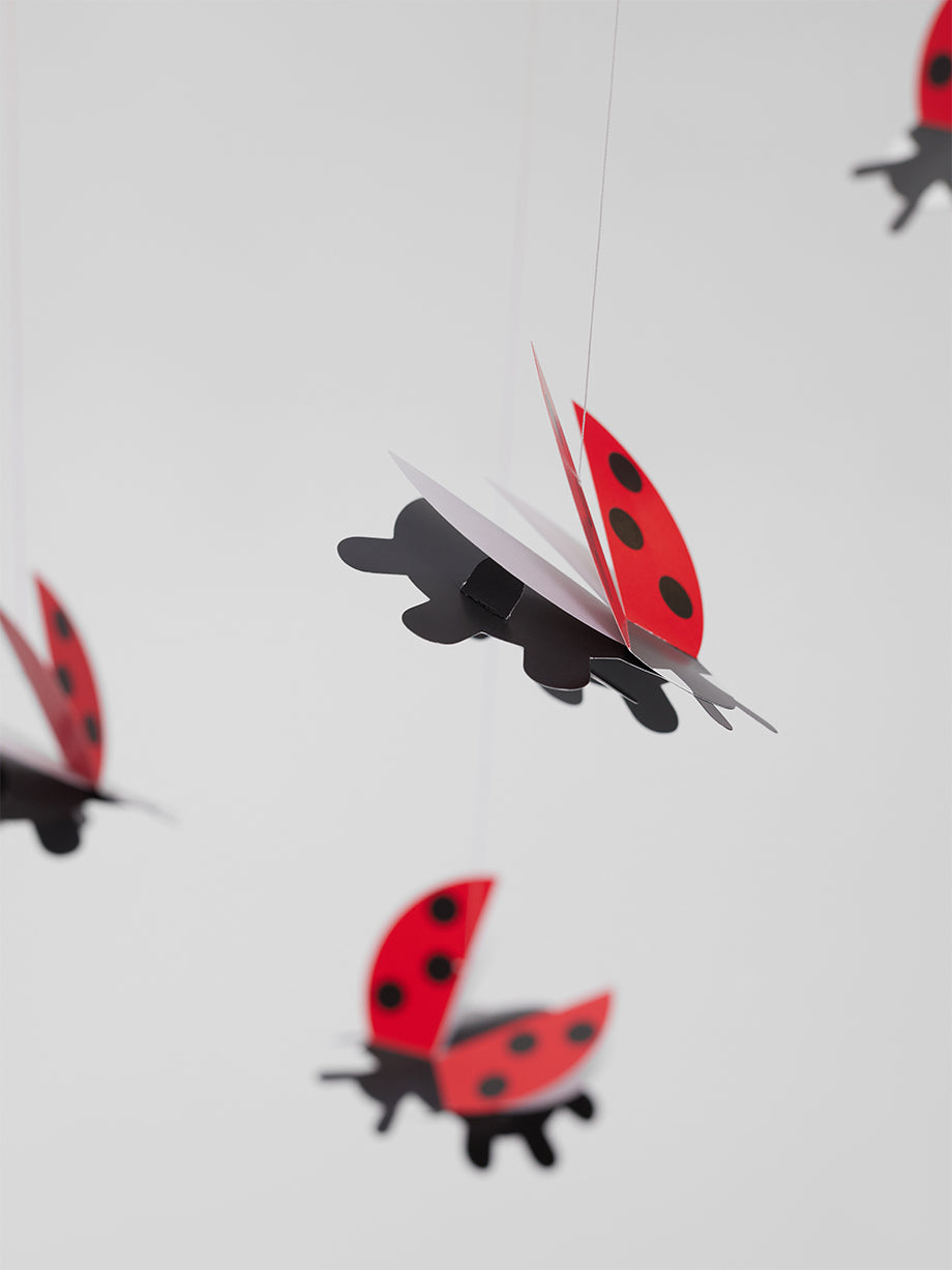 Lady Bird.