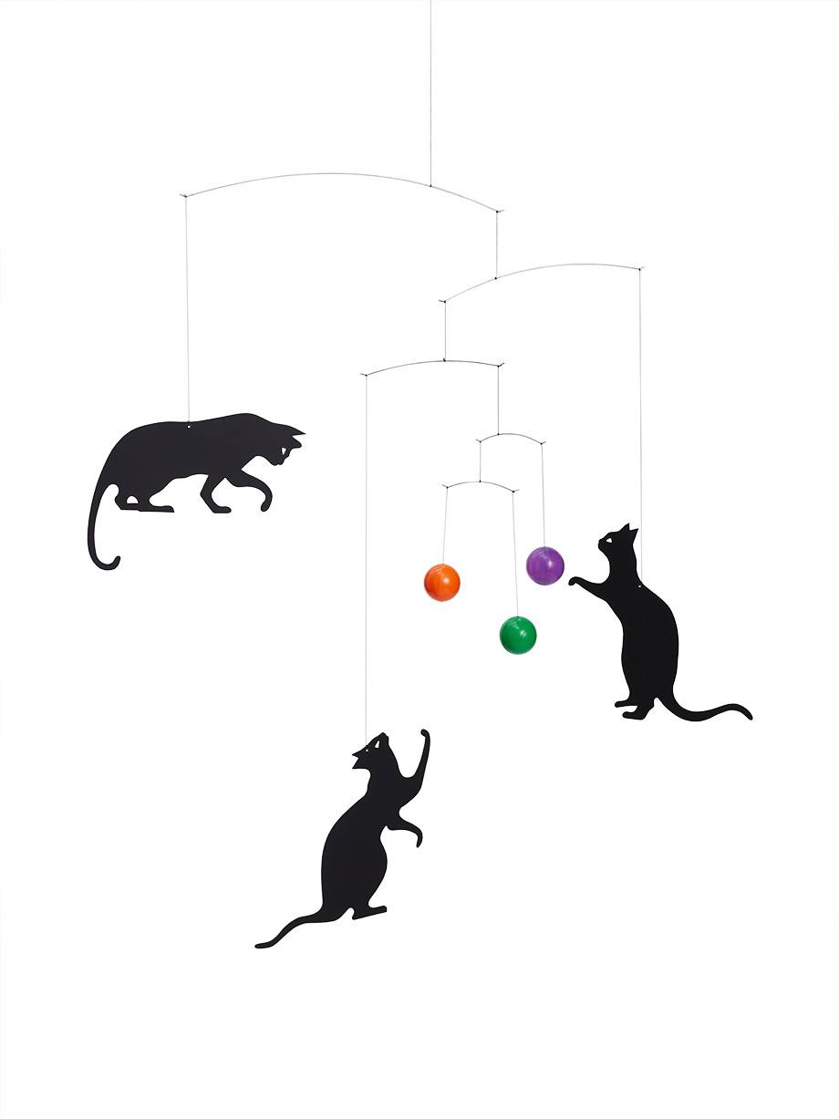 Feline Cats.