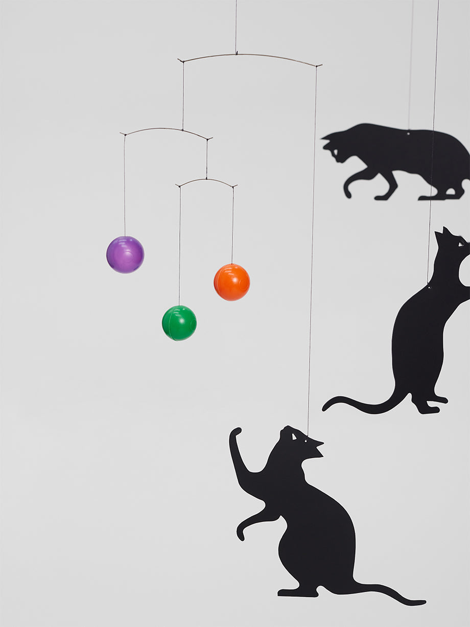 Feline Cats.