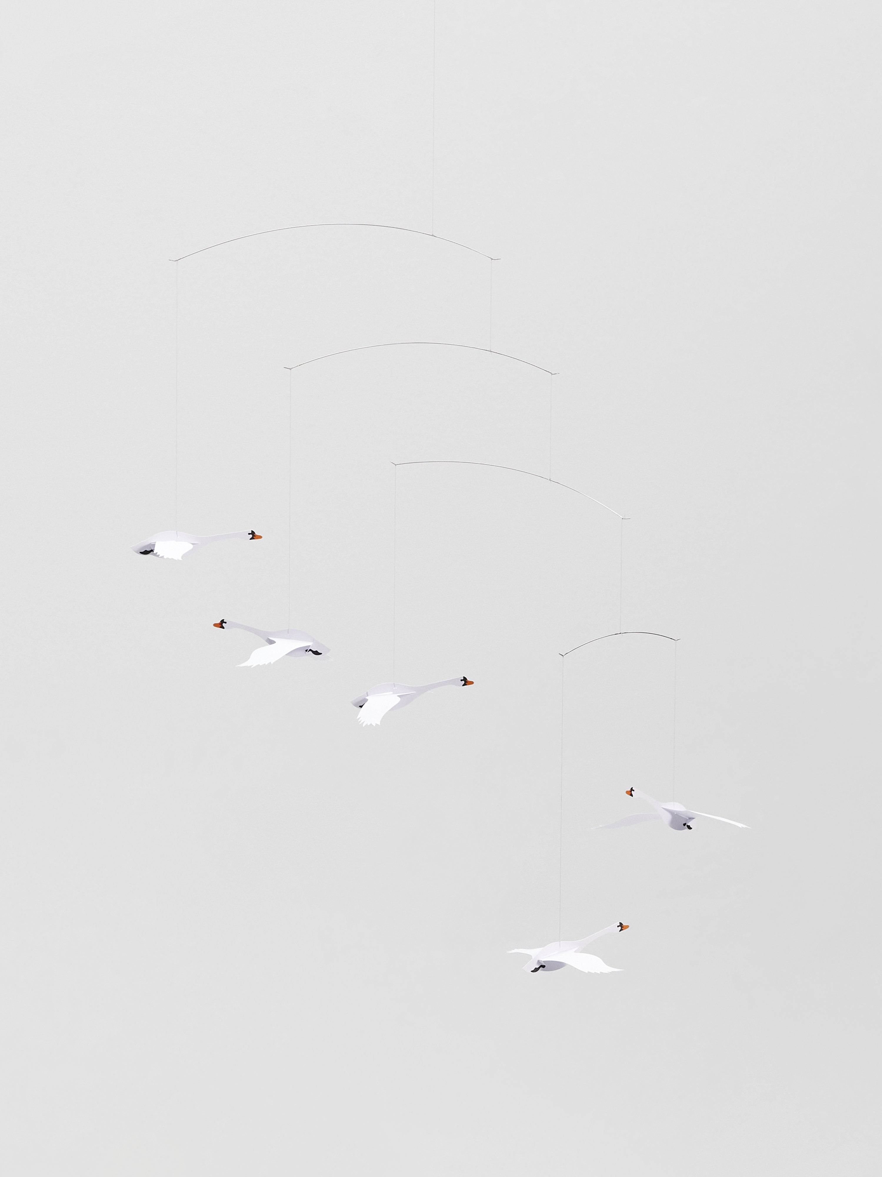 Scandinavian Swans.