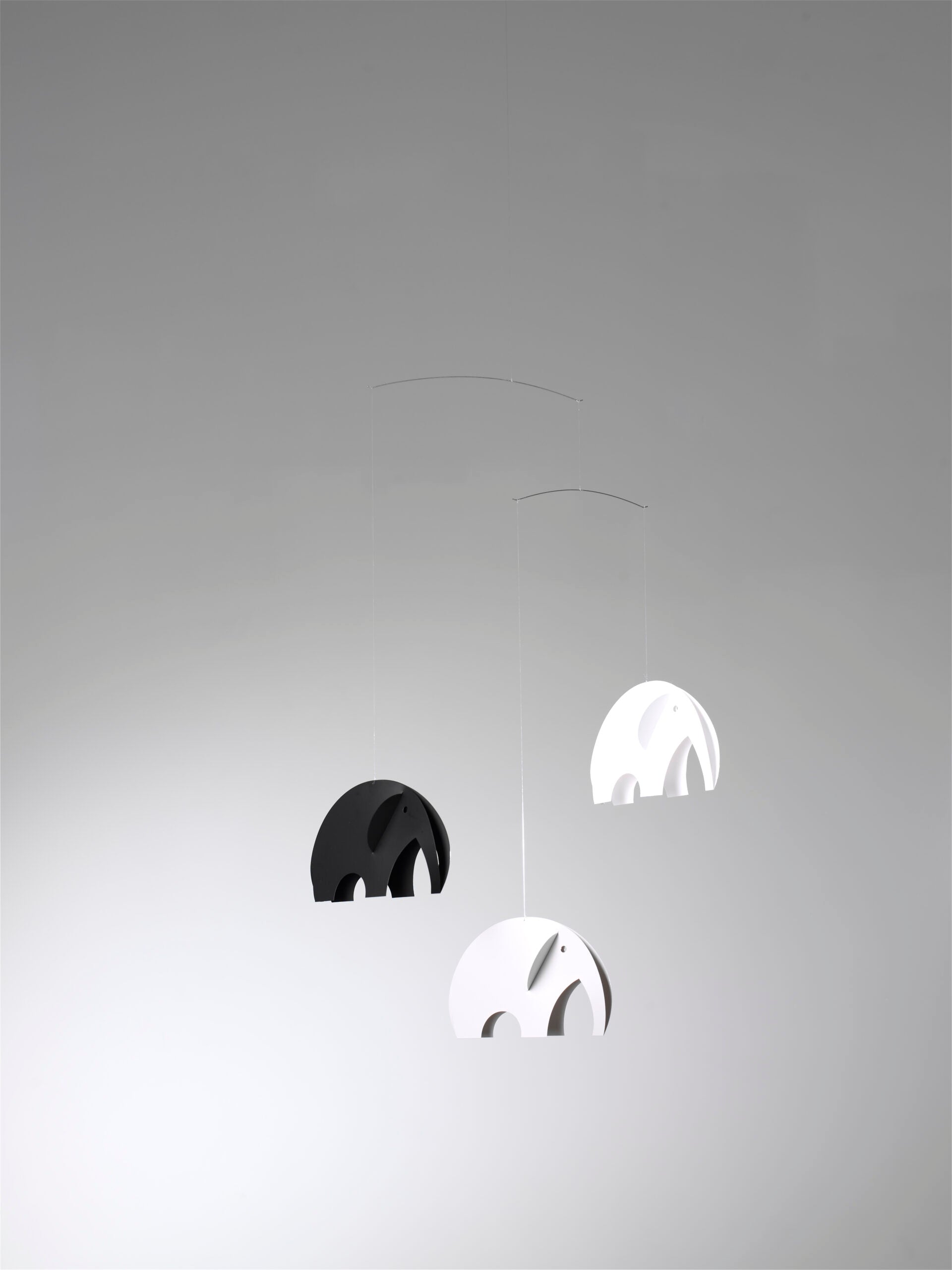 Olephants | Greyscale.