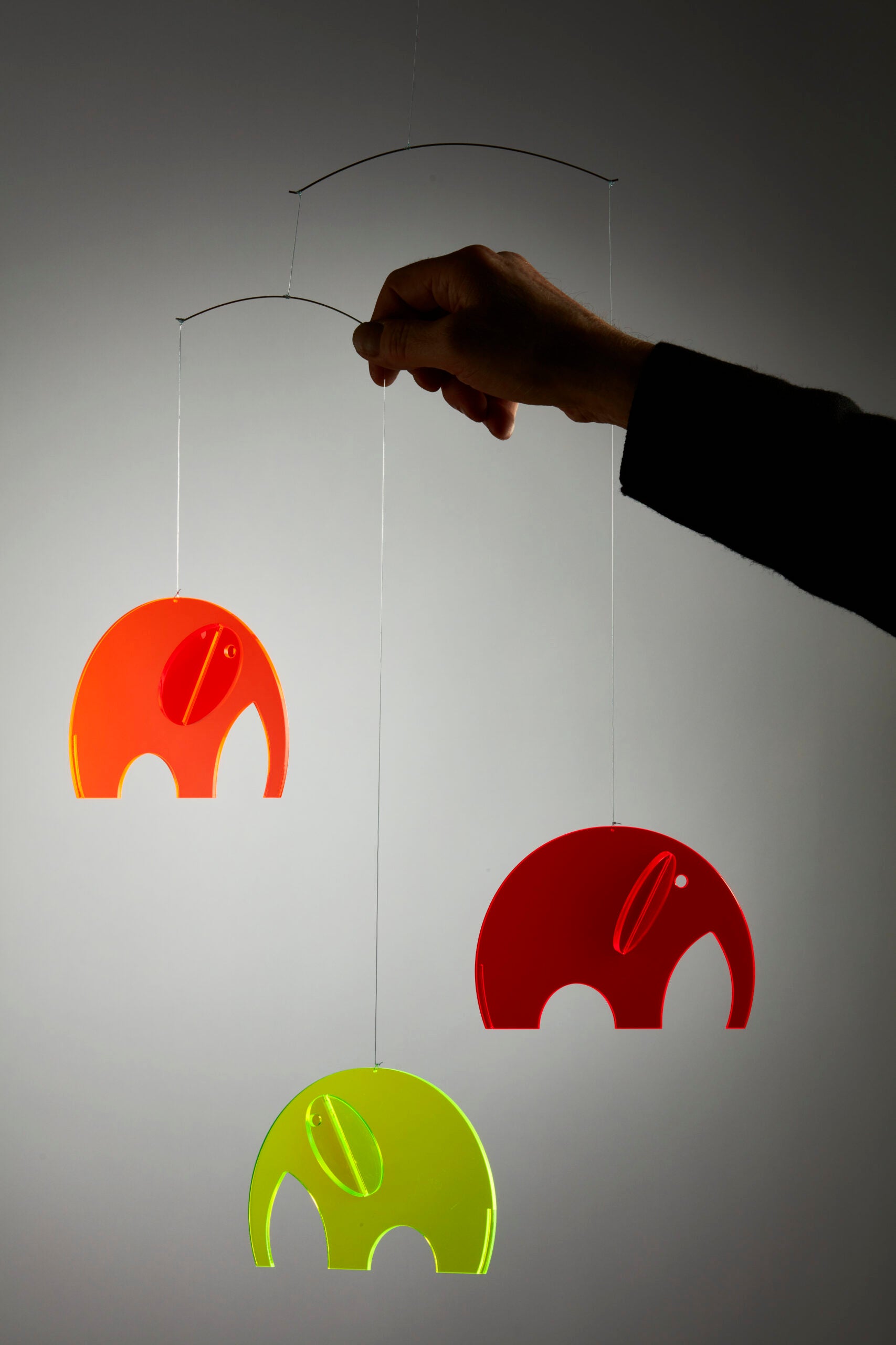 Olephants | Plexi.