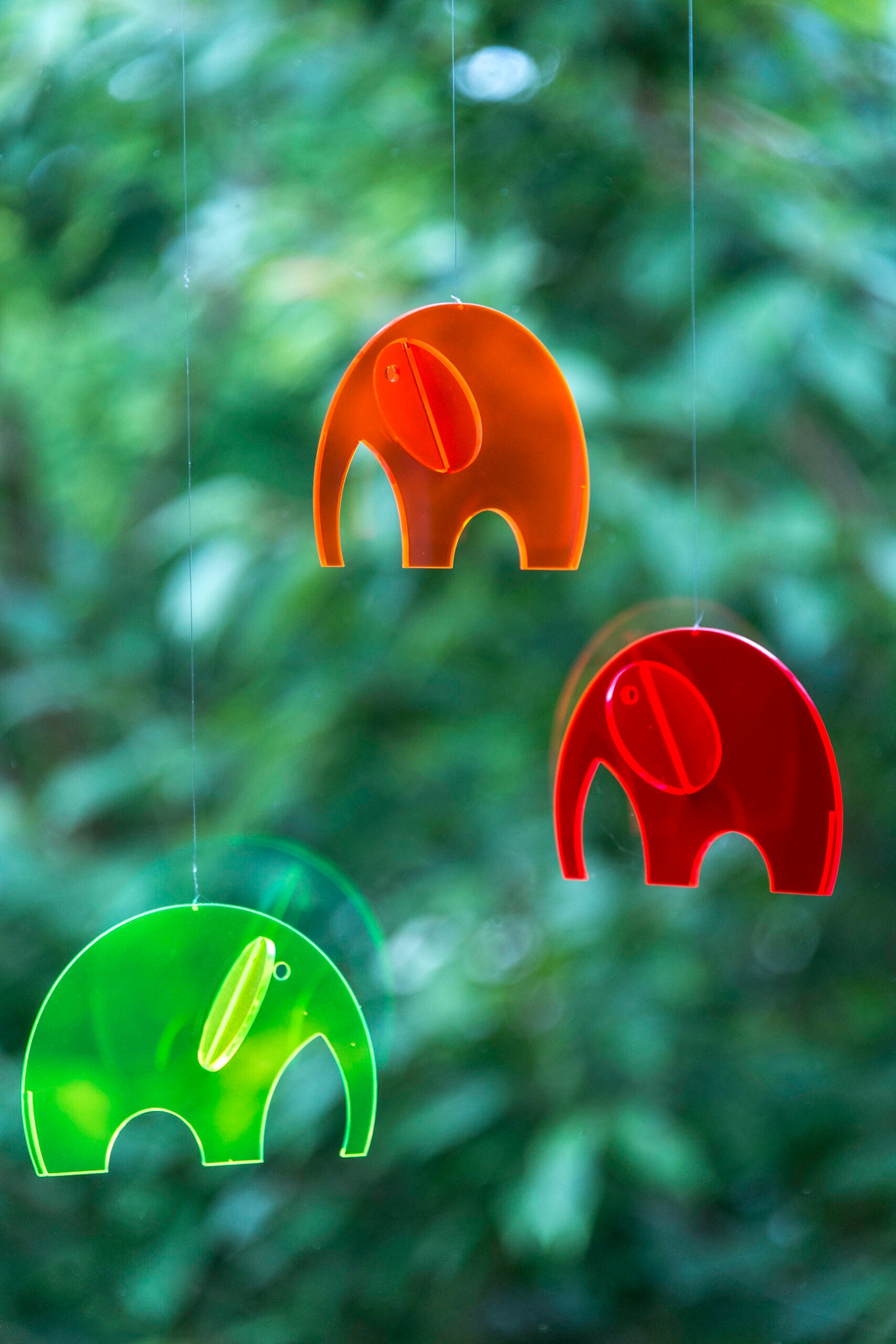 Olephants | Plexi.