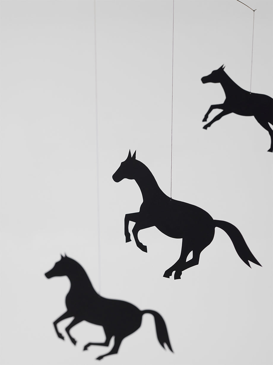 Horses.