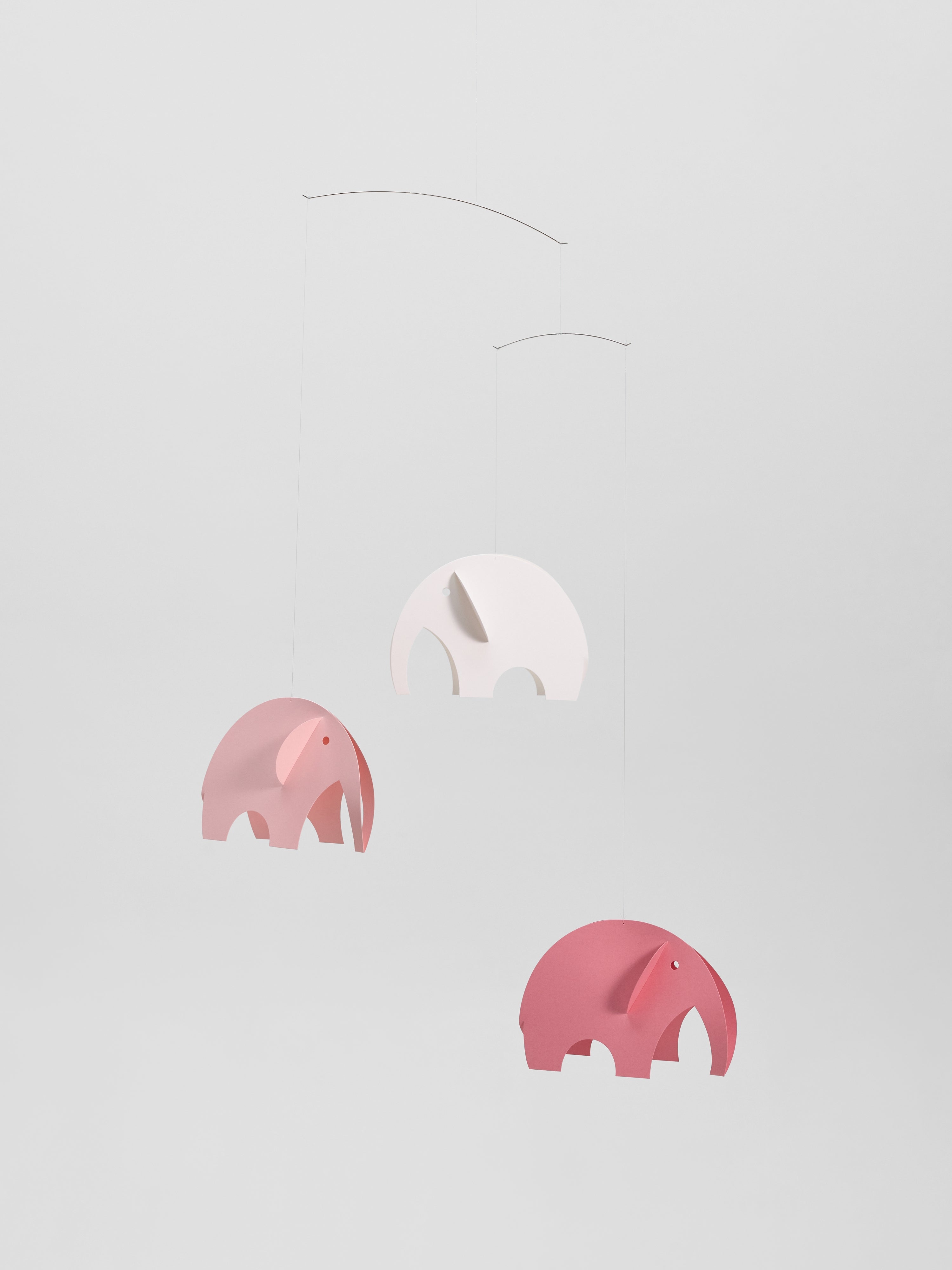 Olephants | Pink.