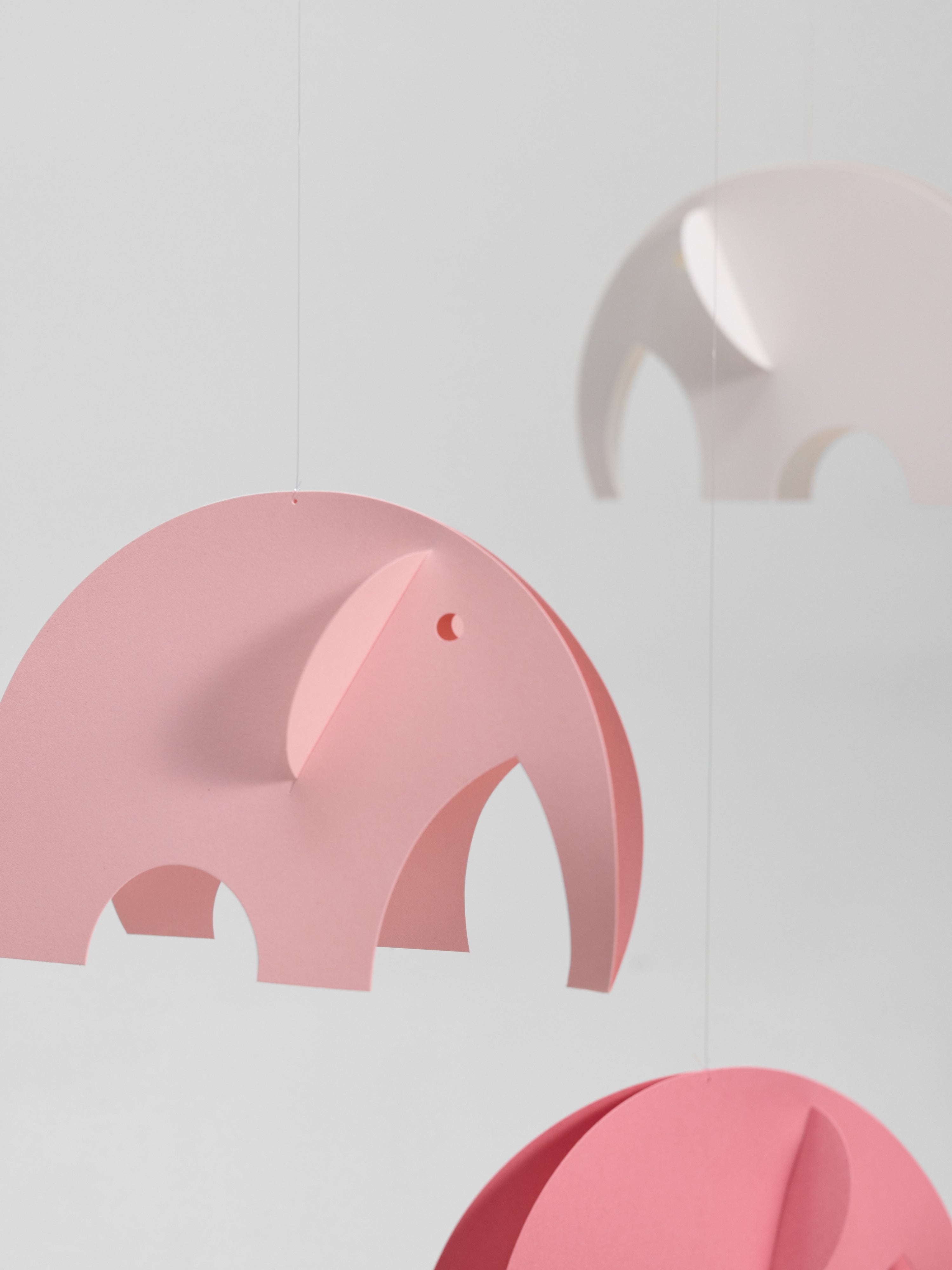 Olephants | Pink.