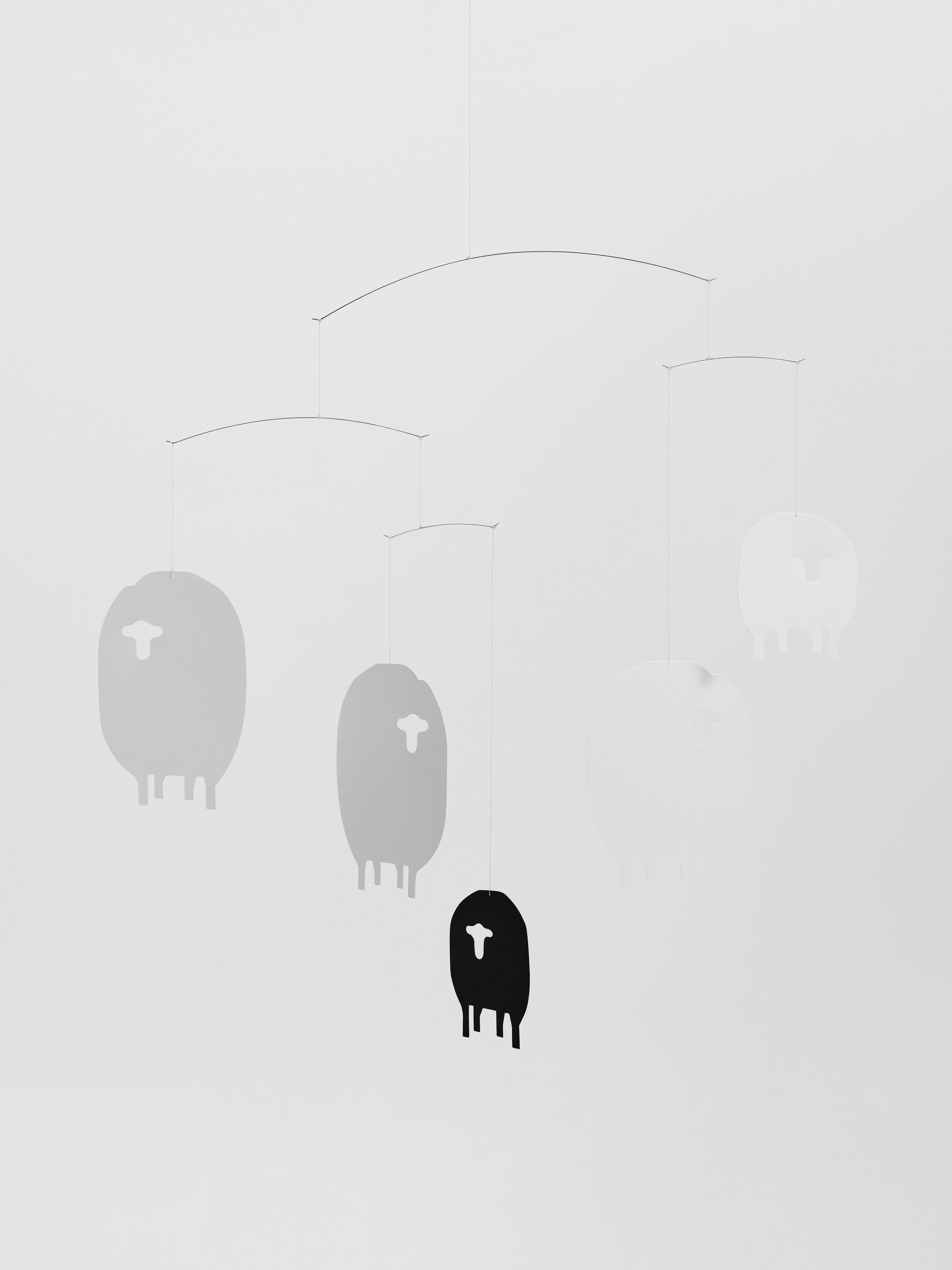 Sheep.